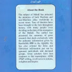 The Emergance of Mehdi